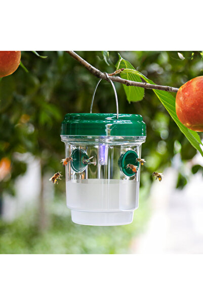 Choice1 green Clear Plastic Outdoor Insect Trap with Lid - Effective for Catc...