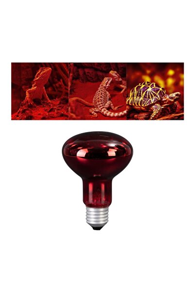 Choice Pet Heat Infrared Baking Lights Lamp Bulb Lighting Device Heater Repti...