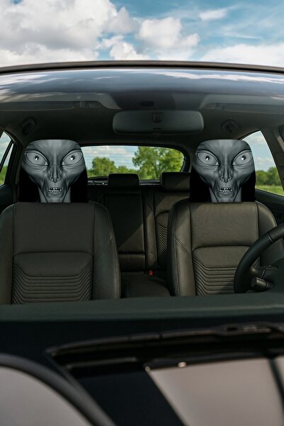 EVPANYA غطاء رأس السيارة المزخرف، عبوة من قطعتين