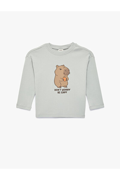 Koton Pamuklu Uzun Kollu Bisiklet Yaka Kapiara Baskılı Tişört