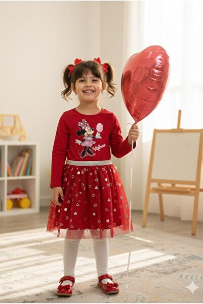 ALYAKİDS Girl's Frozen Elsa Anna Minnie My Melody Printed Tulle Dress