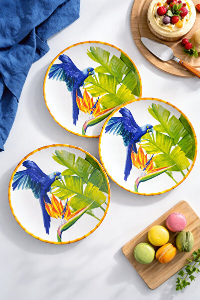 grandora Tropical Bird Patterned Cake or Dessert Plate (6 Pieces, 20 cm) – Mo...