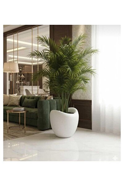 By Ari Ev Dekorasyon OVAL SAKSI 44 CM SADECE SAKSI ÇİÇEKSİZ BEYAZ RENK SKS206-1