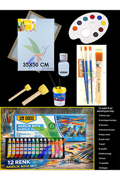 Artshop Südor 12X9 ml Akrilik Boya, 35x50 cm Tuval NO:2 Zemin Fırçalı Set, Po...