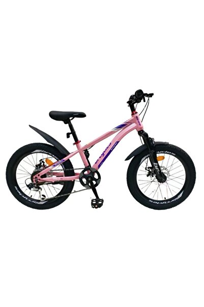 BR CYCLES BICICLET INSPIRE 20" Roz