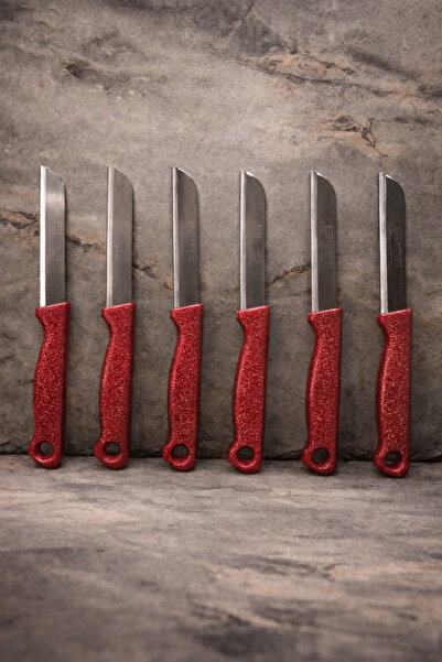 Solingen 6LI MEYVE BIÇAĞI