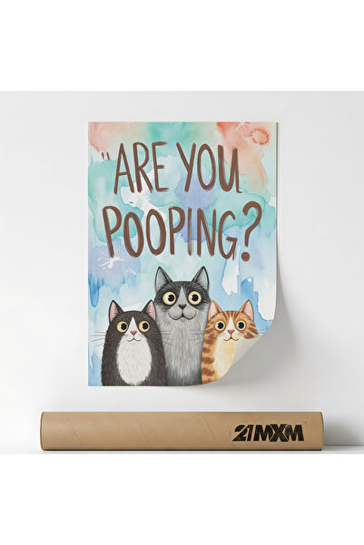 21mxm Poster decorativ, What Are You Doing - 3 Cats v2, design modern, materi...