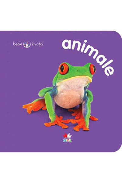 OEM Animals. Babies learn