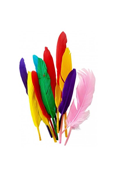 Colorarte Δημιουργικά αξεσουάρ - φτερά, 12-15cm, σετ 10 τεμαχίων,