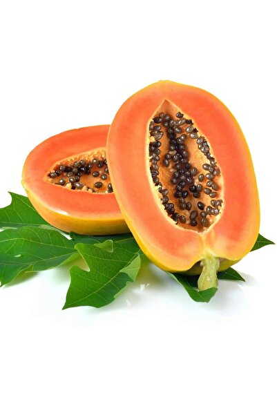 Labari Doğal Taze Dalından Papaya Meyvesi 1 Kg