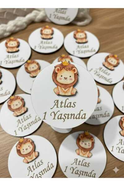 kadan enerji ve güvenlik sistemleri aslan magnet (12 adet)