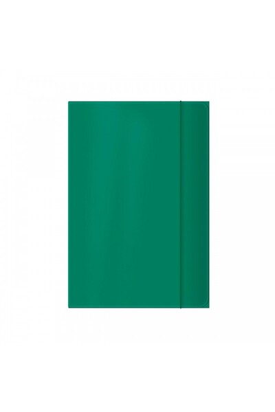 Colorarte Mapa carton Colorarte, plastifiata, cu elastic, A4, verde