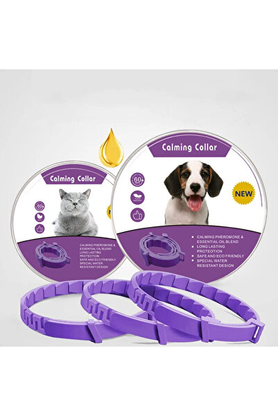 Choice1 طوق تهدئة للقطط - 39 سم، قطعة واحدة - بنفسجي، طوق فرمونات مهدئ للقطط ...