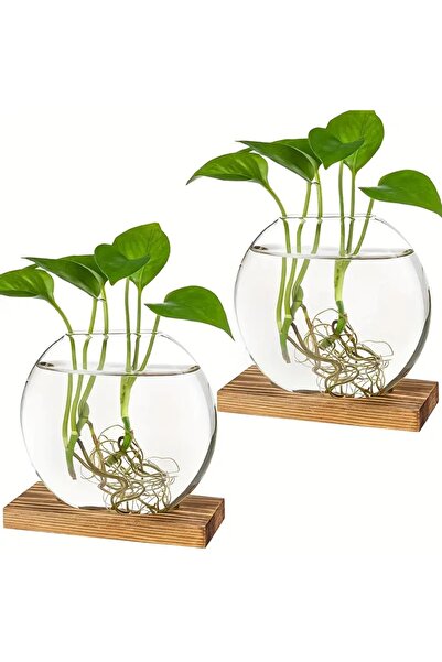 Choice G3343A 2pcs 2pcs 2-Pack Round Glass Terrariums with Wooden Stand for P...