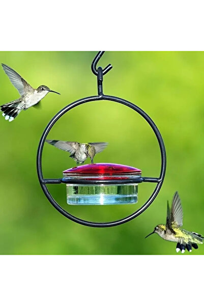 Choice Circular Hanging Hummingbird Feeder Water Feeders for Bird Courtyard G...