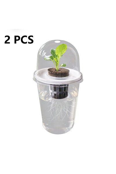 Choice1 2pcs 1/2pcs Transparent Cylindrical Plastic ponic Pot - For Succulent...
