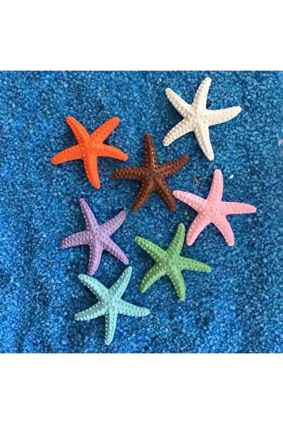 Choice 9 قطع من الأصداف الملونة على شكل نجم البحر والمحار، أحجار مضيئة فلورية...