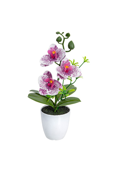 Choice3 زهرة الأوركيد الاصطناعية 4C، نباتات الأوركيد الاصطناعية، فالاينوبسيس ...