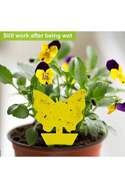 Choice 36 pieces 36 Pieces/set of Yellow Insect Traps, Garden Flower Traps, T...