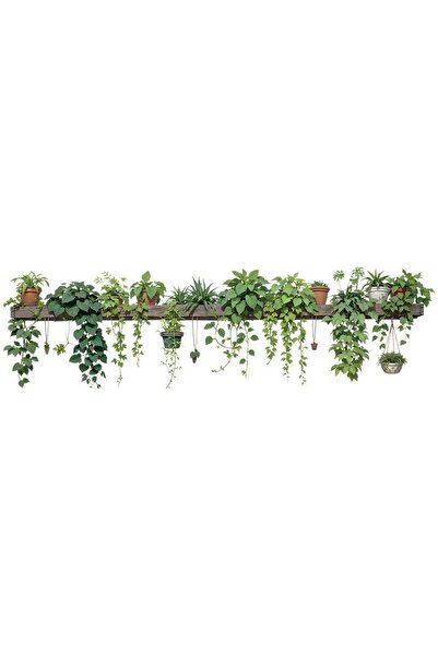Choice 1pc Plants, potted plants, wall stickers, fresh living room background...