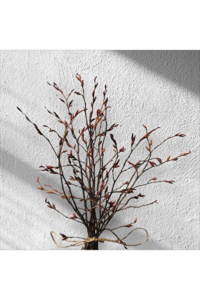 KumKum ديكور غصن الجوجوبا الطبيعي الجاف (20 سم) - قطعة نباتية طبيعية وجمالية