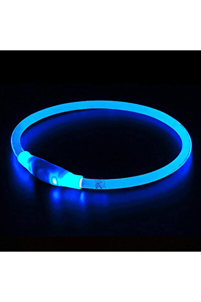 Choice8 M (50cm) Blue Led Usb Dog Collar Pet Dog Night Luminous Charge Collar...