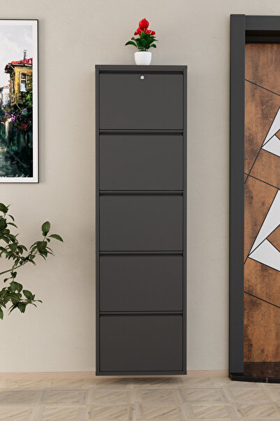 Empressco 5 Kapaklı Metal Ayakkabılık, Antrasit Renk, Şık ve Pratik Tasarım