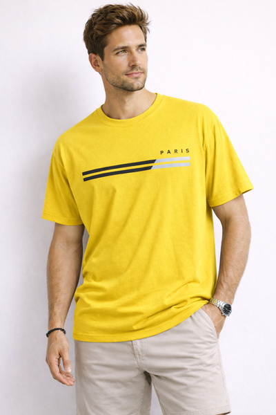 ArtYus Paris Printed Cotton Relaxed Fit Round Neck Unisex T-Shirt