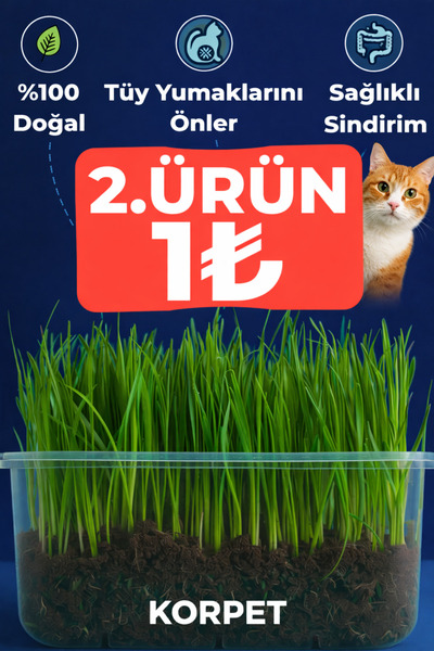 KorPet Doğal Kedi Çimi (üy Yumağı Önleyici, Sindirim Destekleyici)