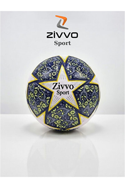 Zivvo كرة قدم ذات سطح صلب، كرة ملعب صلبة، كرة دوري الأبطال، تتضمن مضخة، 4 ألوان
