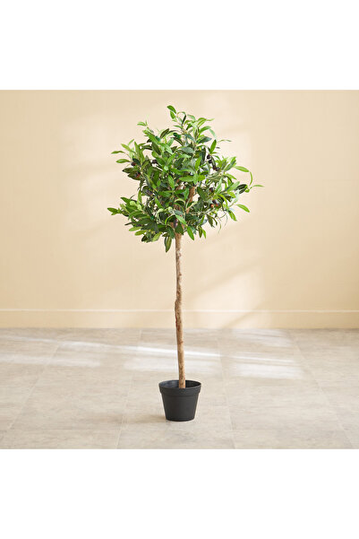 Generic Teodora Sylvan Olive Tree - 50x50x110 cm