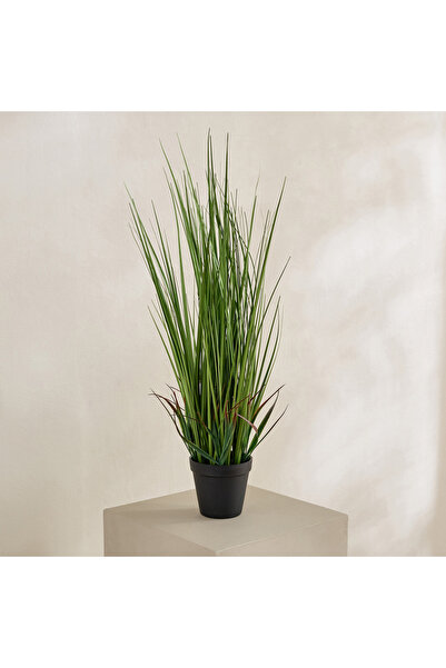 Generic نبات عشب البصل الصناعي دائم الخضرة، مزروع في أصيص - 64 سم
