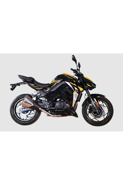 Arora AR251 250 cc Su Soğutmalı Benzinli Motosiklet