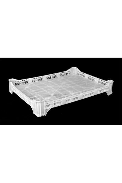 ALBATROS Kerevet Kurutma Kasası 80x60x12 İpekböcekçiliği