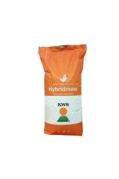 KWS Semințe de porumb 2370 25.000 de boabe