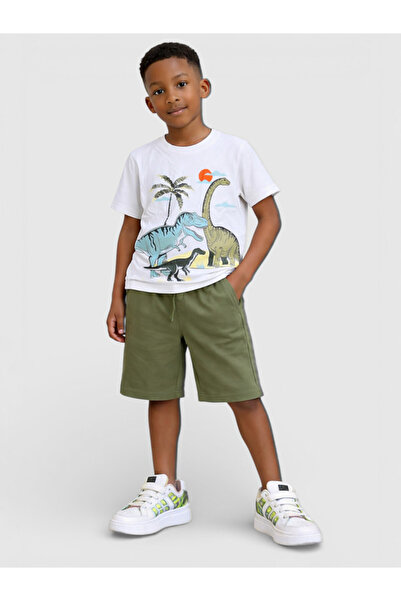 Victor and Jane Boys Dinosaur Scene T-Shirt & Olive Cargo Shorts Set
