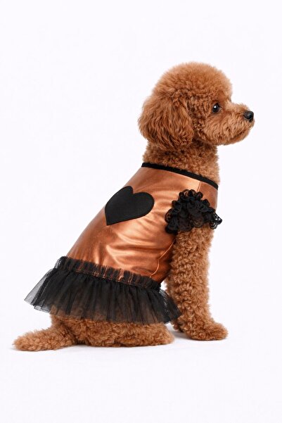 DOGİ&DOG Küçük Irk Copper Heart Köpek Kıyafeti Köpek Elbisesi (1-10KG)