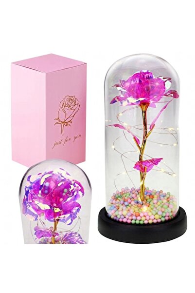 Optim Solution Trandafir etern în cupolă de sticlă