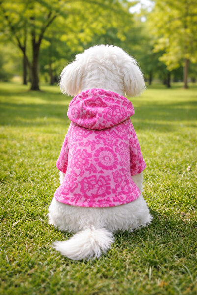 petite pati Pembe Desenli Kadife Köpek Sweatshirt | Kapşonlu, Kışlık Köpek Kı...