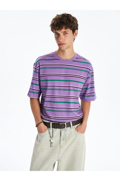 LC Waikiki Özmarka New Season Crew Neck Striped Men's T-Shirt