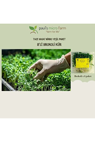 Pauls Micro Farm Haftalık Brokoli Mikro Yeşil (Sulforofan) Kür
