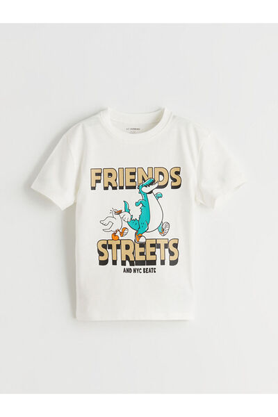 LC Waikiki Rmz Gi̇yi̇m Farkiyla Standart Fit Printed Boys' T-Shirt