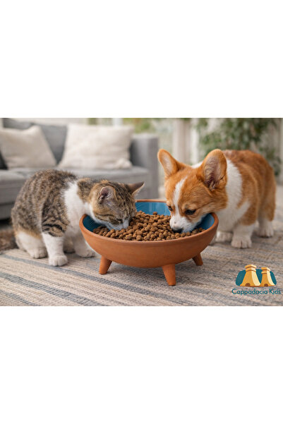 Universal Ayaklı Sırlı Çömlek Kedi & Köpek Maması Kabı (20 CM)