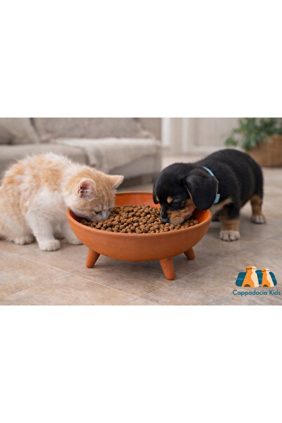 Universal Ayaklı Sırlı Çömlek Kedi & Köpek Maması Kabı (20 CM)