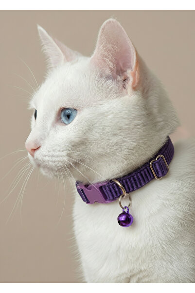 Mor Renkli Lastikli Esnek Kedi Tasması Zilli (18-32cm)