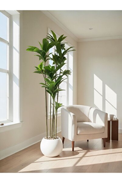 Casco Luxury artificial Dracaena plant, 180 cm tall, with a round pot.