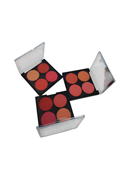 Generica 3-piece blush palette set
