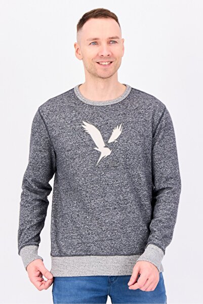 AMERICAN EAGLE Men Crew Neck Long Sleeve Embroidered Logo Sweatshirt, Grey