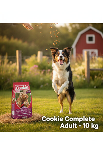 cookie Complete Plus Adult Beef 10 kg