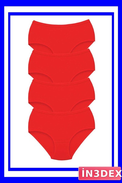 İN3DEX Women's High Waist Bato Panties Set of 4 with Thick Elastic